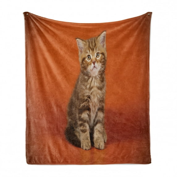 Kitty Soft Flannel Fleece Throw Blanket, Scottish Straight Shorthair on Tangerine Tone Backdrop, Cozy Plush for Indoor and Outdoor Use, 70" x 90", Dark Orange Umber, by Ambesonne