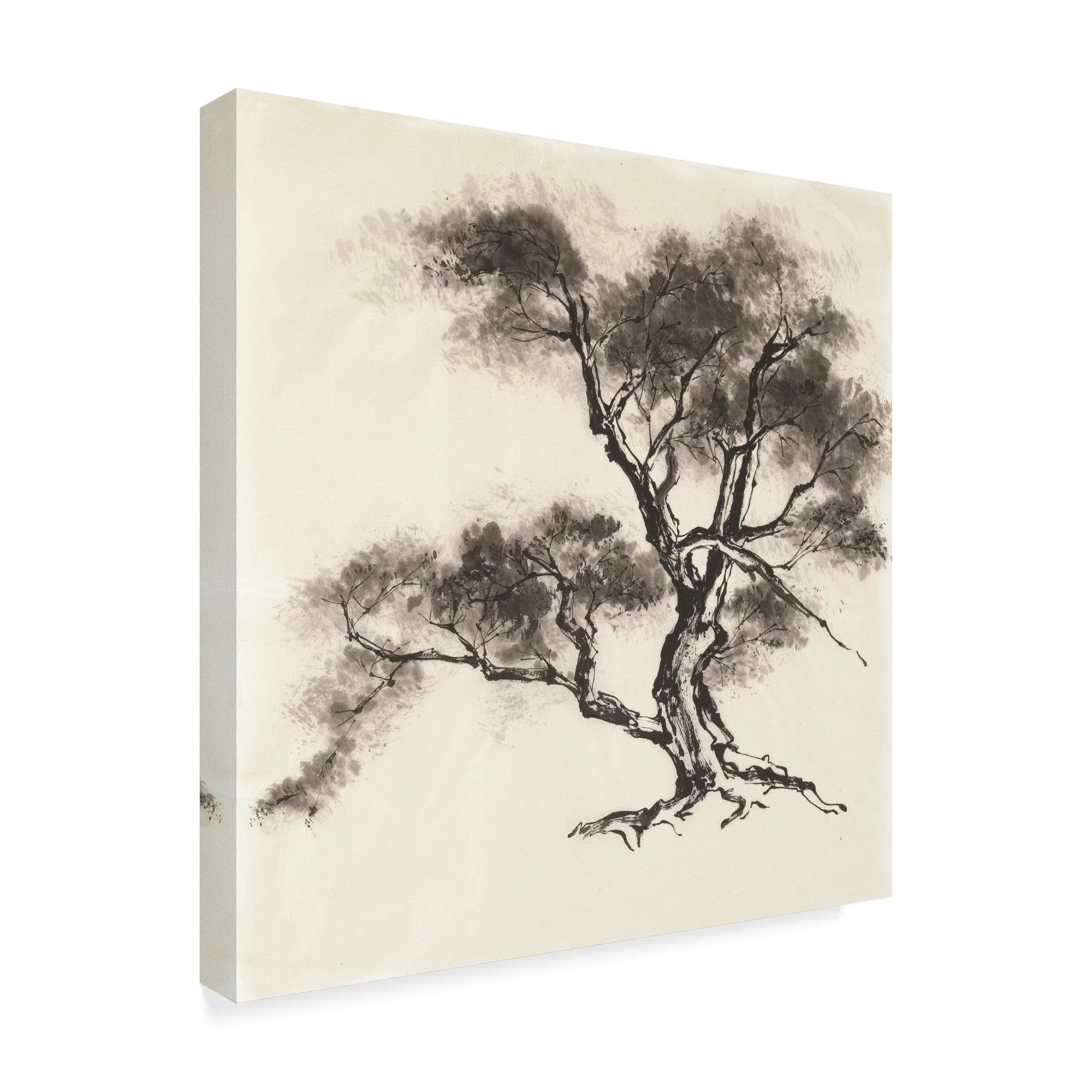 Trademark Fine Art 'Sumi Tree II' Canvas Art by Chris Paschke
