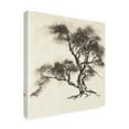 thumbnail image 2 of Trademark Fine Art 'Sumi Tree II' Canvas Art by Chris Paschke, 2 of 3