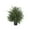 E, variant on 2025 & CISIL - 3FT Real Cedar Topiary Trees For Front Porch Decor, Artificial Shrubs Faux Plants