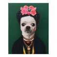 thumbnail image 1 of Empire Art Direct GIC-PR044-2016 Haute Résolution Animaux de Compagnie Giclée de Roche Imprimé sur Toile de Coton sur Civière en Bois Massif - Mexico, 1 of 1