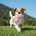 thumbnail image 3 of GiGwi 12" Squeaker with Rope Cozy Pig Dog Toy, 3 of 5