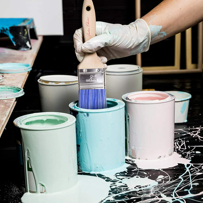 Bates Paint Roller - Paint Brush, Paint Tray, Roller Paint Brush, 11 Piece  Home Painting Supplies, Foam Brush, House Painting Tray, Painting Tools -  Bates Choice