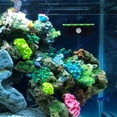 thumbnail image 4 of MasteelfCA Live Coral Display Stand Double Layer Frag Rack Coral Cultivating Support, 4 of 8