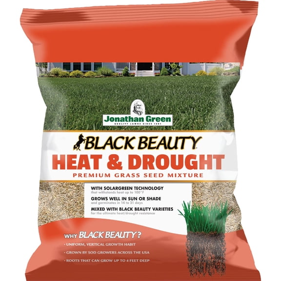 Black Beauty Solargreen Seed Mix - Heat Tolerant, Shade Grass - 3 lb Bag
