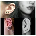 thumbnail image 4 of K-KED 20PCS/lot Gold Black Labret Bar Monroe Piercing Lip Stud Tragus Body Piercing-16G 8mm-Rainbow, 4 of 6