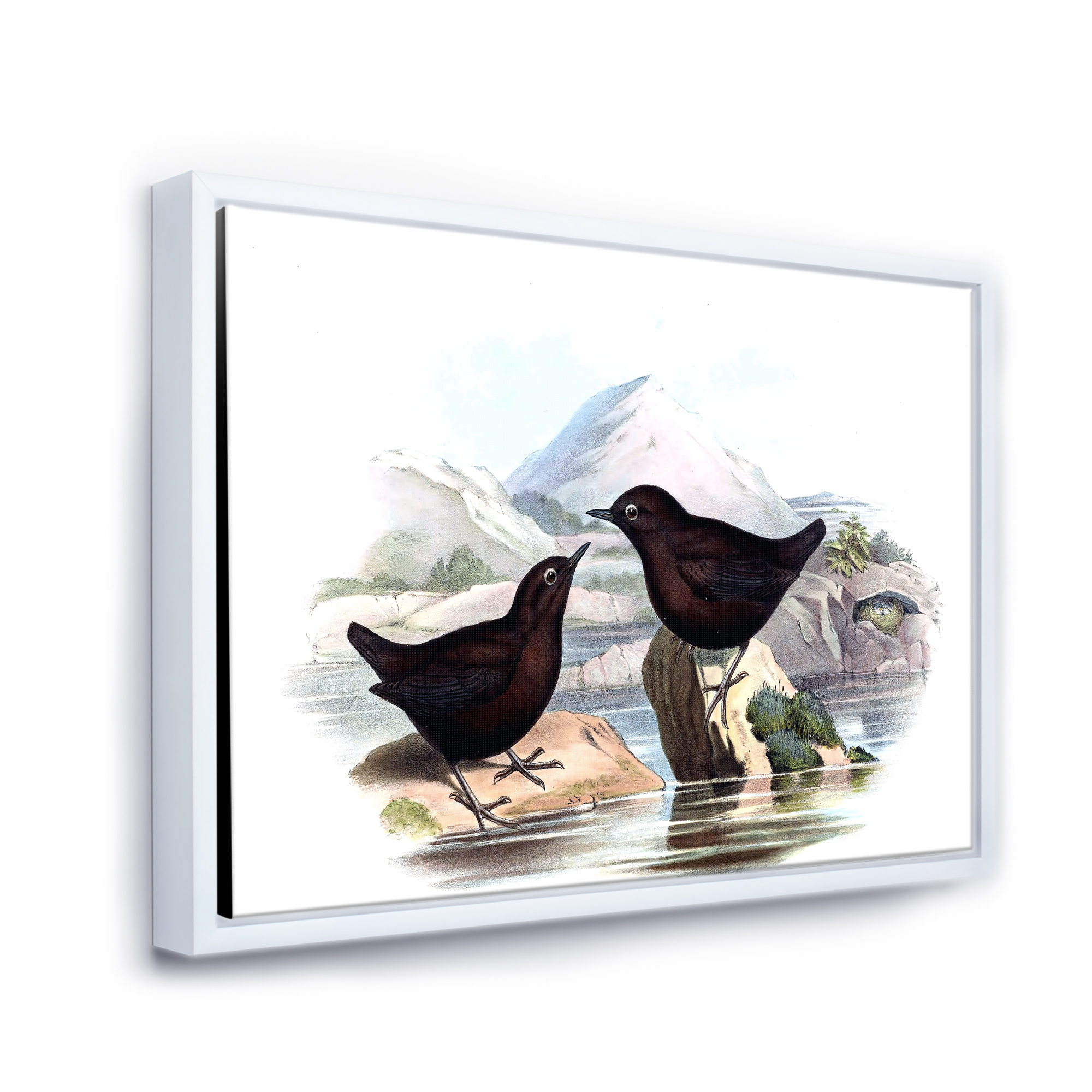 Designart 'Vintage Countryside Two Birds' Farmhouse Framed Canvas Wall Art Print