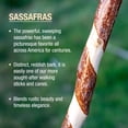 thumbnail image 3 of Bastón de senderismo y trekking de madera artesanal - Fabricado en EE. UU. por Brazos - Sasafrás retorcido - 58 pulgadas, 3 of 5