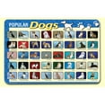 thumbnail image 1 of Painless Learning DOG-1 Napperon Chiens Populaires - Lot de 4, 1 of 1