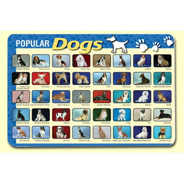 Painless Learning DOG-1 Napperon Chiens Populaires - Lot de 4