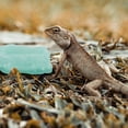 thumbnail image 4 of unbranded Comedero Para Reptiles Con De Resina Ideal Para Terrarios, 4 of 6