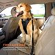 thumbnail image 4 of 2 Piezas Cinturones de Seguridad para Automóvil, con Absorción de Impactos y Elasticidad Ajustable para Perros, Suministros para Mascotas Cinturones de Seguridad para Perros, Cuerda de Seguridad Reflectante Elástica (Azul) brillar Electrónica, 4 of 5