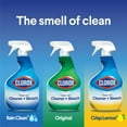 Clorox CleanUp All Purpose Cleaner with Bleach, Spray Bottle, Original