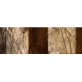 thumbnail image 2 of Linda Thompson 40x16 Gallery Wrapped Canvas Wall Art Titled - Coppers Edge I, 2 of 4