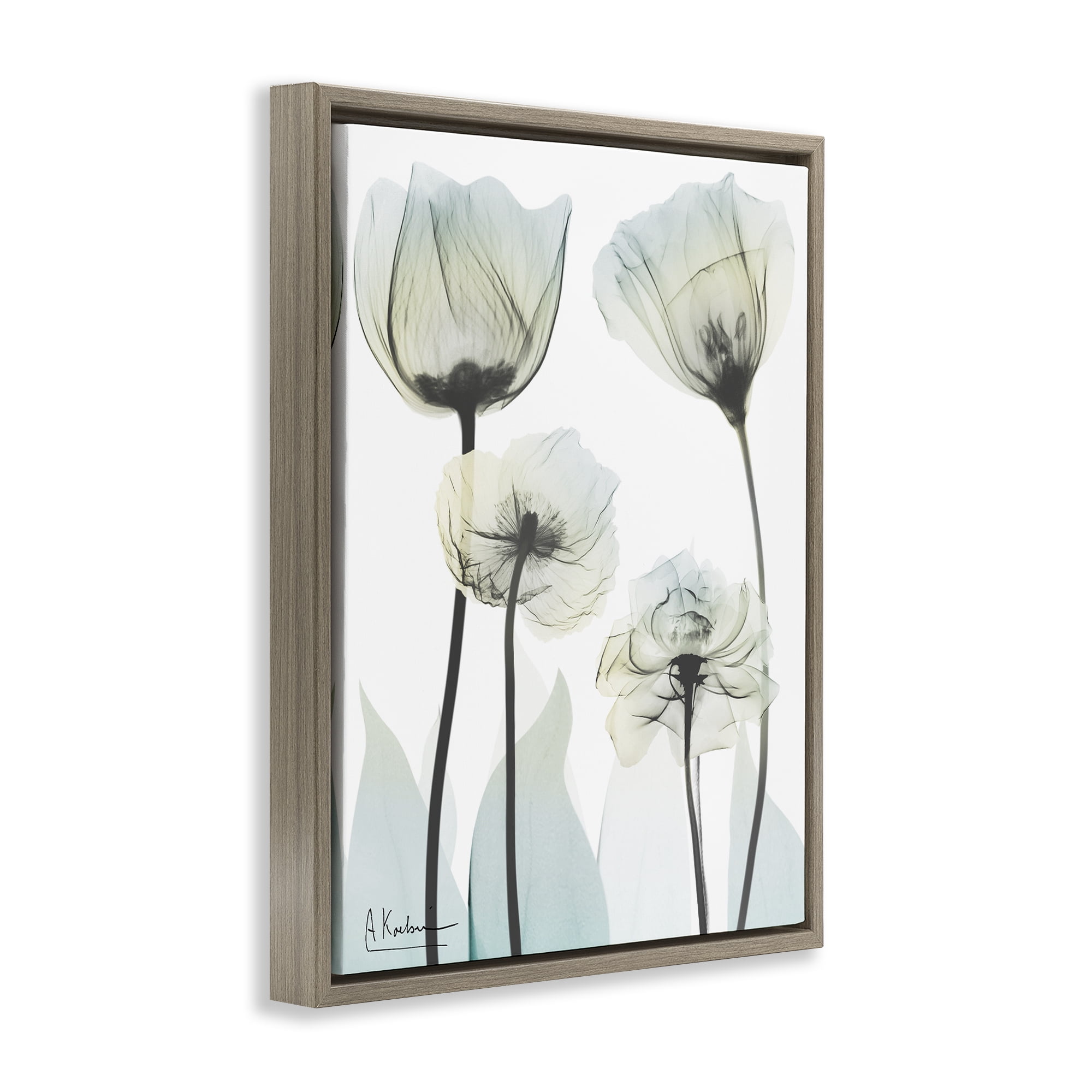 Stupell Industries Floral Luxury Of Creation Brown Framed Floater Canvas Wall Art, design by Albert Koetsier
