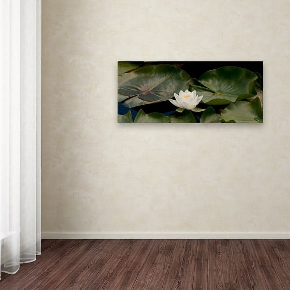 Trademark Fine Art "One White Water Lily" Canvas Art by Kurt Shaffer