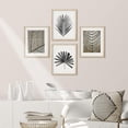 thumbnail image 2 of PixonSign Framed Duotone Tropical Forest Plant Leaf Wall Art, Set of 4 Collage Nature Garden Wall Decor Prints, Leaves Texture Shadow Wall Décor, Rustic Home Artwork - 11"x14" Natural, 2 of 5
