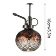 thumbnail image 2 of Vintage Glass Mister Spray Bottle, 6.3 Inch Succulent Watering Can with Bronze Pump, Indoor Spritzer for Home Decor, Gardening, and Small Care, 2 of 3