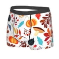 thumbnail image 2 of Disketp Autumn Pumpkins Fall Leaves Men'S Boxer Briefs,Soft And Breathable Cotton Underwear With Comfortflex Waistband, 2 of 9
