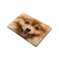 thumbnail image 2 of MKHERT Cute Puppy Pomeranian Dog Lovely Pets Doormat Rug Home Decor Floor Mat Bath Mat 23.6x15.7 inch, 2 of 3