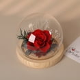 thumbnail image 2 of Preserved Real Flower Glass Dome Eternal Carnation Rose Display For Home Tabletop Decor Gift, 2 of 9