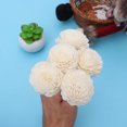 thumbnail image 2 of Miangastore 5 Pcs Rattan Sticks Straight Natural Fragrance Diffuser Aroma Oil Diffuser Rattan Sticks with Flower Shape Head Decor (Ivory), 2 of 8