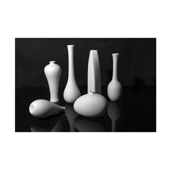 Trademark Fine Art Betty Liu Still Life Canvas Wall Art