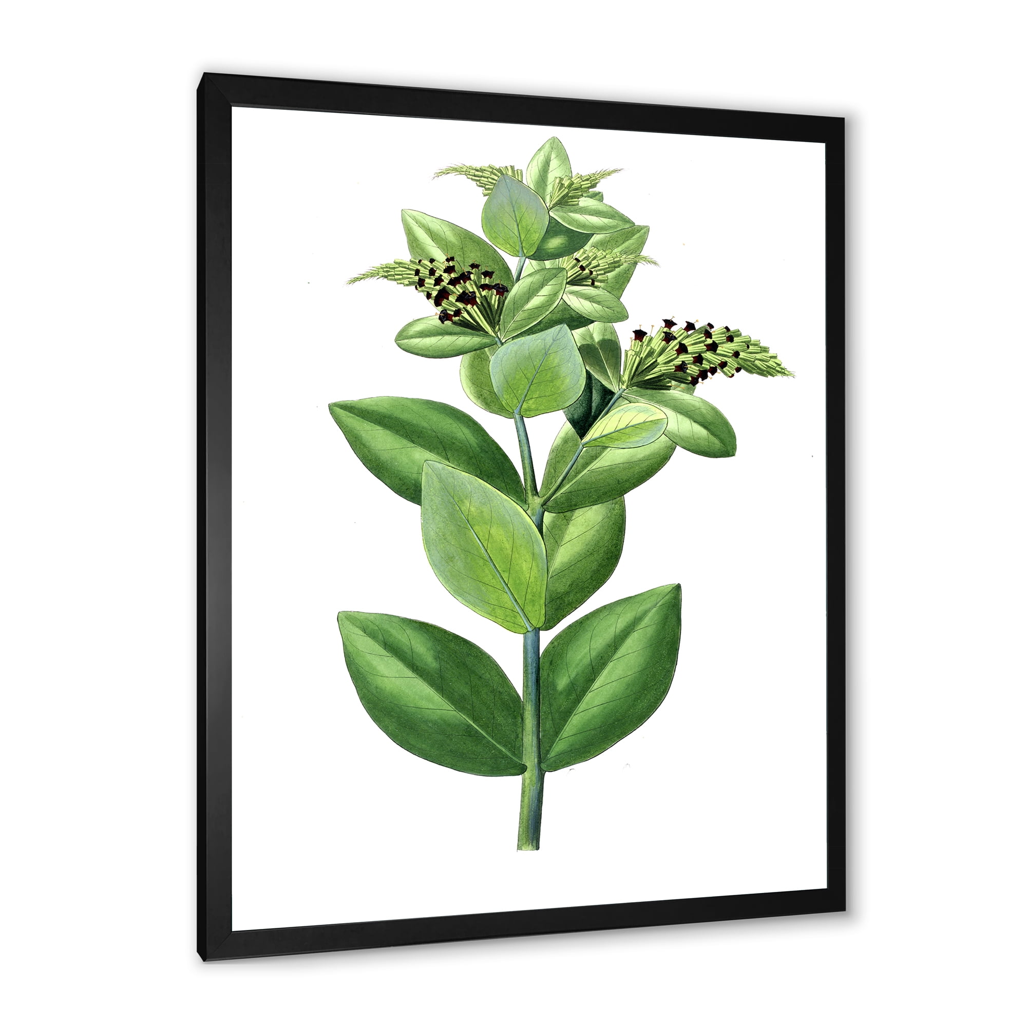 Designart 'Ancient Green Leaves Plants VI' Traditional Framed Art Print