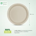 thumbnail image 5 of Plant Plate Everyday Solid Print Disposable Paper Plates, 10 Inch, 150 Count, 5 of 8