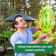 RESCUE! Outdoor Hanging TrapStik for Wasps, Mud Daubers, and Carpenter Bees Insect Trap, 1 Pack