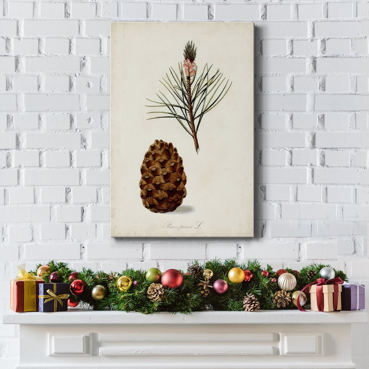 Antique Tree Study V- Gallery Wrapped Canvas