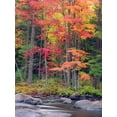 thumbnail image 2 of Art.com Autumn in the Adirondack Mountains, New York, Usa Photographic Print by Christopher Talbot Frank, 24" x 32", 2 of 4