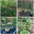 thumbnail image 3 of ROMUCHE 66"x48" Updated Cucumber Trellis For Raised Bed, U-Shape Garden Trellis for Climbing Plants Outdoor with Climbing Net, 3 of 11