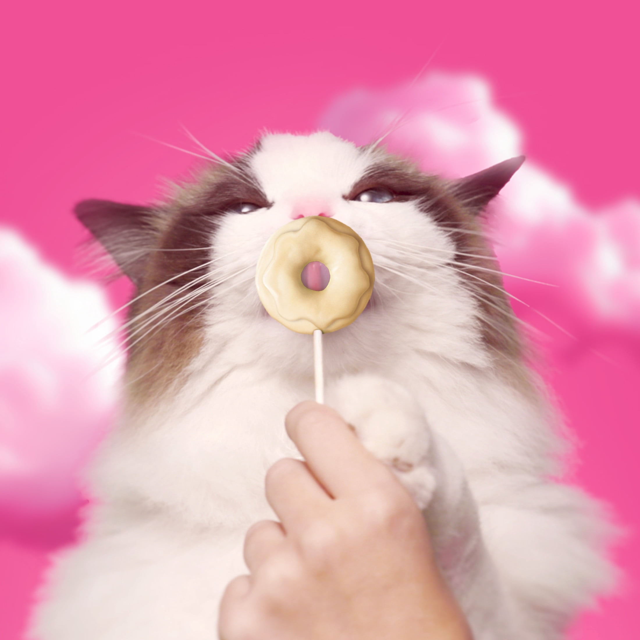 BONKERS Purrpops Krispy Kreme Limited-Edition Freeze-Dried Chicken Flavored Lollipop Cat Treats, 4 pack