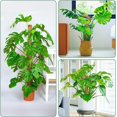 thumbnail image 4 of Hongchun Moss Pole Hemp Rope Non-deformed Sturdy Easy to Install Absorption DIY Bendable Plant Support Steels Indoor Outdoor 4pcs 60cm, 4 of 5