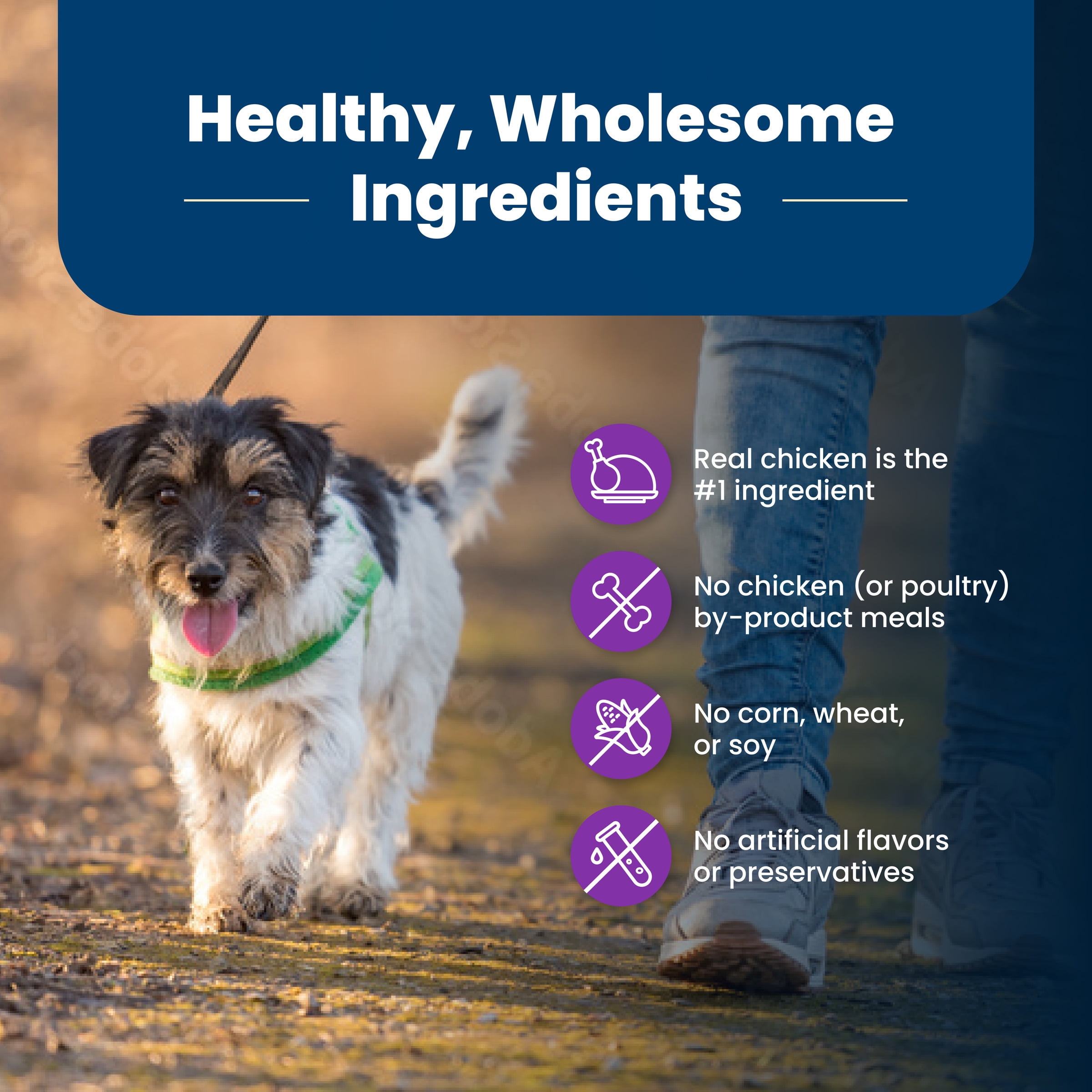 (5 pack) Blue Buffalo Life Protection Formula Toy Breed Dry Dog Food Chicken & Brown Rice 4 lbs.