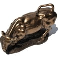 thumbnail image 5 of Veronese Design WU75136A1 Replica Wall Street Bull Bronze, 5 of 7