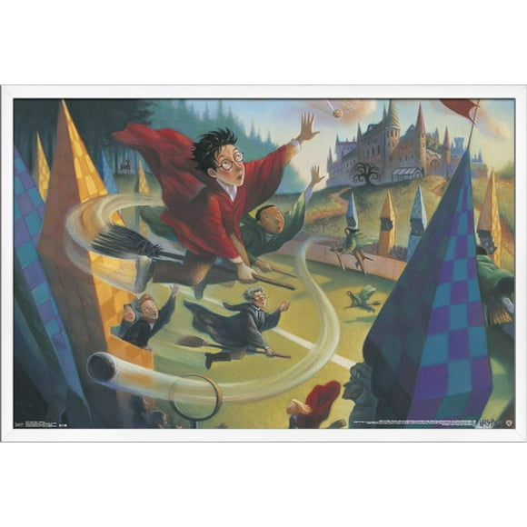 Trends International Wizarding World: Harry Potter-Illustrated Quidditch Wall Poster, 22.375 in x 34 in, White Framed Version
