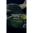 thumbnail image 4 of Vs �l Deepwater Eau de Parfum Spray por Victorias Secret Victoria's Secret Model, 4 of 5