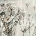 thumbnail image 2 of Weisz, Irene 26x26 Black Ornate Wood Framed with Double Matting Museum Art Print Titled - Natural Ones I, 2 of 4