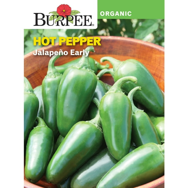 Burpee Organic Jalapeno Early Hot Pepper Vegetable Seed, 1pack