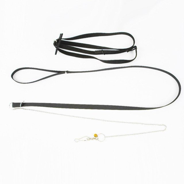 Tortoise Leash Wear-resistant Adjustable Size Safety Traction Rope Pet Products For Walking TrainingL He Qiyong unisex