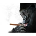 thumbnail image 2 of Badass Gorilla with Cool Wall Mural by Wallmonkeys Peel and Stick Graphic (24 in H x 23 in W) WM37060, 2 of 4