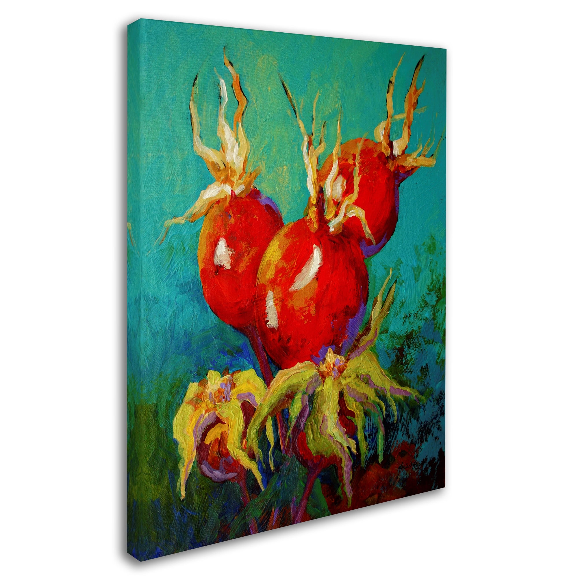 Trademark Fine Art 'Rose Hips' Canvas Art by Marion Rose