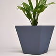 thumbnail image 2 of MACETA CLAVEL 30, 2 of 5