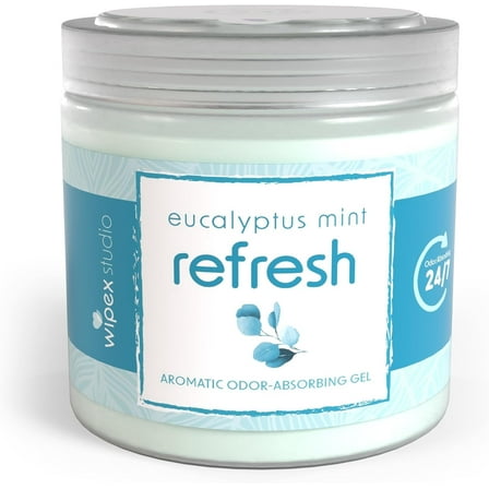 Wipex Odor Absorbing Gel Jar - Eucalyptus