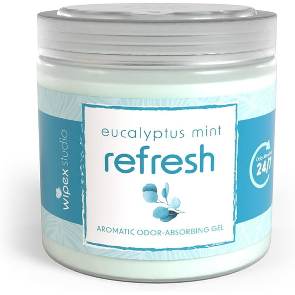 Wipex Odor Absorbing Gel Jar - Eucalyptus