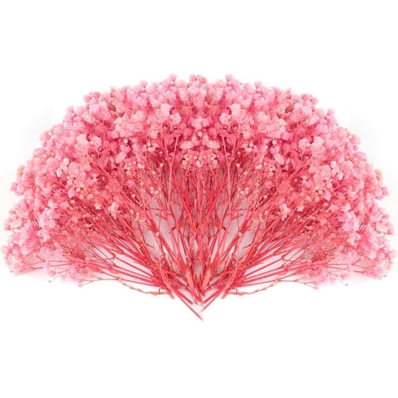Dried Babys Breath Flowers Pink Gypsophila Bunches Bulk 50 Pcs Preserved Dried Flowers Long Lasting Flowers for Crafts Album Frame Greeting Card Photo Props Wedding Decor,5 inch/13 cm