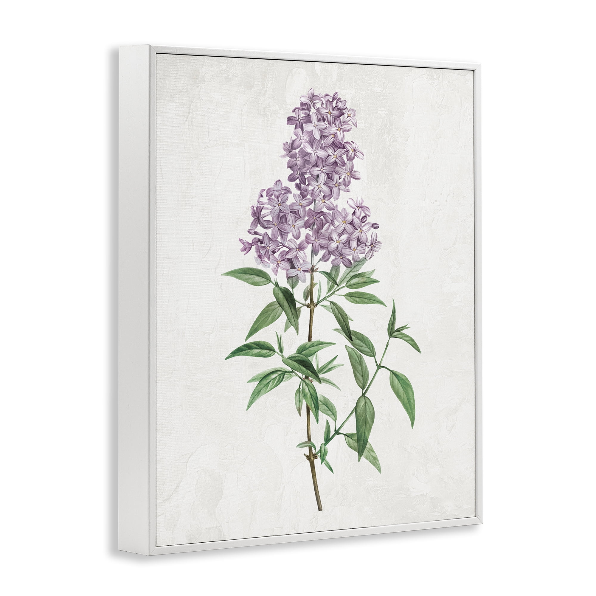 Stupell Industries Lilac Blossoms Blooms White Framed Giclee Art, design by Kim Allen