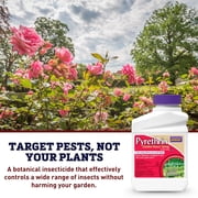 Harris Seeds Bonide Pyrethrin Garden Insect Spray Concentrate, Pest Control for Vegetables and Flowers, 1 Pint